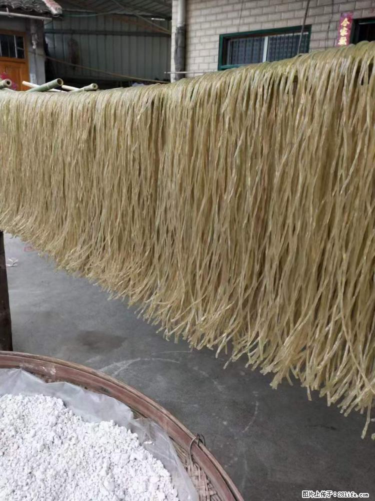 【灌阳正宗红薯粉】美女家里自己做的,干净卫生,假一赔十,价格合理,抢购电话:13737312895 - 美食天地 - 武威生活社区 - 武威28生活网 wuwei.28life.com