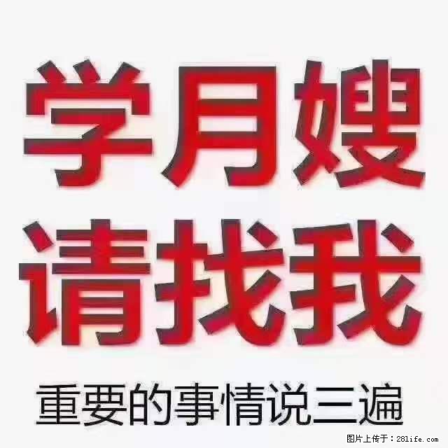 为什么要学习月嫂，育婴师？ - 其他广告 - 广告专区 - 武威分类信息 - 武威28生活网 wuwei.28life.com
