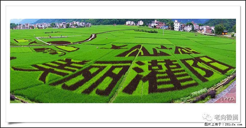 【春天，广西桂林灌阳县向您发出邀请！】开篇 - 游山玩水 - 武威生活社区 - 武威28生活网 wuwei.28life.com