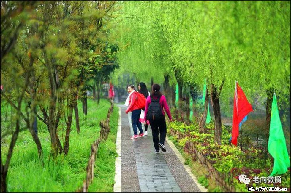 【春天,广西桂林灌阳县向您发出邀请!】江口老街又逢春 - 游山玩水 - 武威生活社区 - 武威28生活网 wuwei.28life.com