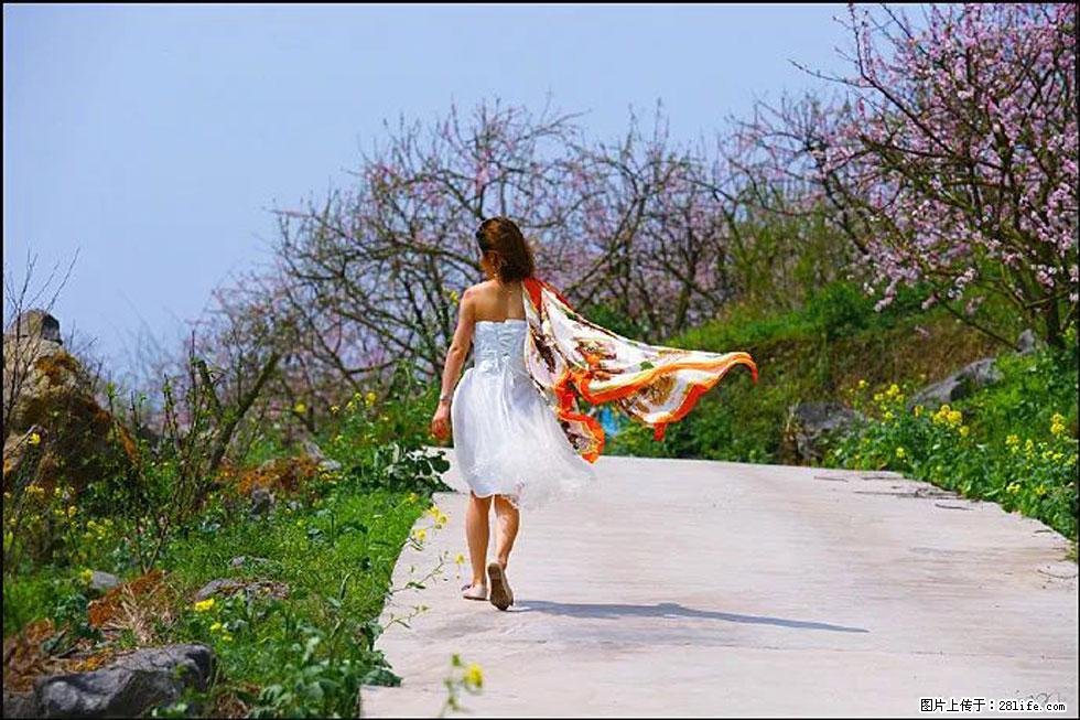 【春天,广西桂林灌阳县向您发出邀请!】望月岭上桃花开 - 游山玩水 - 武威生活社区 - 武威28生活网 wuwei.28life.com