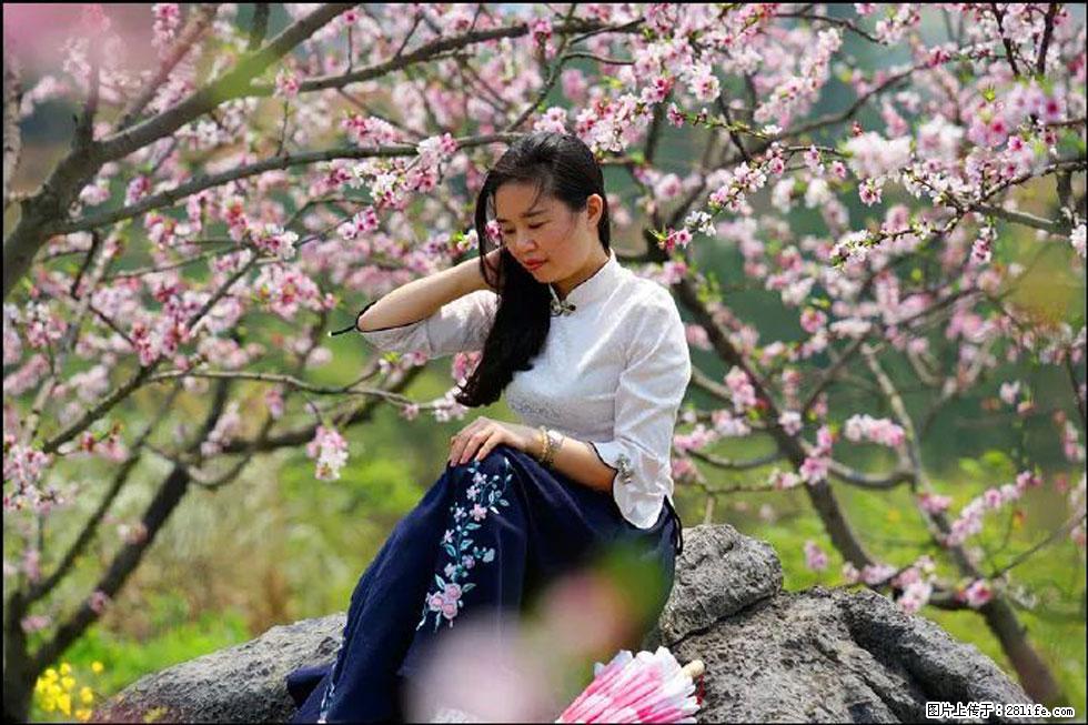 【春天,广西桂林灌阳县向您发出邀请!】望月岭上桃花开 - 游山玩水 - 武威生活社区 - 武威28生活网 wuwei.28life.com