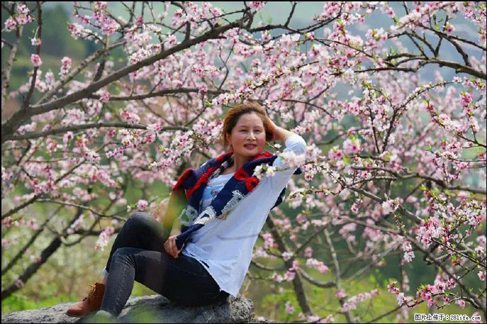 【春天,广西桂林灌阳县向您发出邀请!】望月岭上桃花开 - 游山玩水 - 武威生活社区 - 武威28生活网 wuwei.28life.com