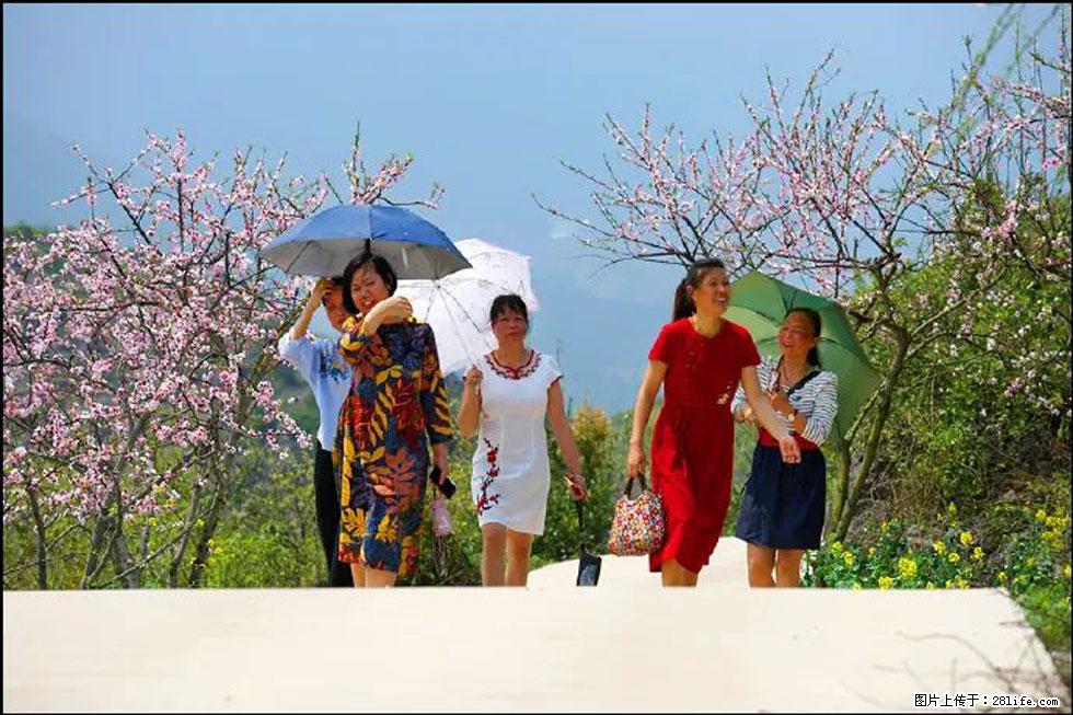 【春天,广西桂林灌阳县向您发出邀请!】望月岭上桃花开 - 游山玩水 - 武威生活社区 - 武威28生活网 wuwei.28life.com