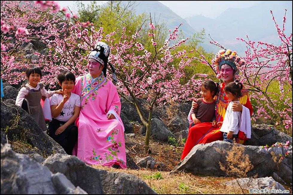【春天,广西桂林灌阳县向您发出邀请!】望月岭上桃花开 - 游山玩水 - 武威生活社区 - 武威28生活网 wuwei.28life.com