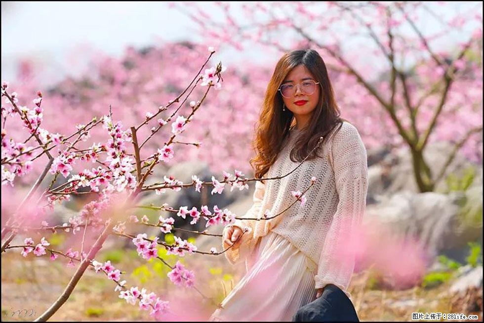 【春天,广西桂林灌阳县向您发出邀请!】望月岭上桃花开 - 游山玩水 - 武威生活社区 - 武威28生活网 wuwei.28life.com
