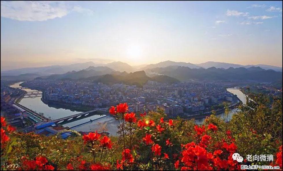 【春天，广西桂林灌阳县向您发出邀请！】登麒麟山，相约映山红 - 游山玩水 - 武威生活社区 - 武威28生活网 wuwei.28life.com