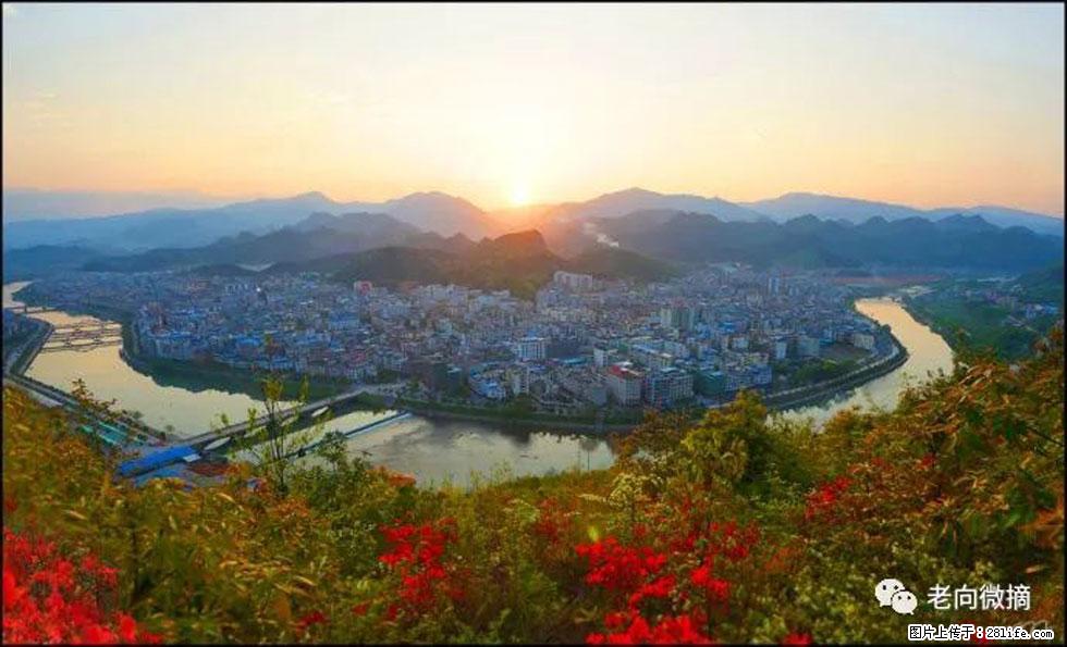 【春天，广西桂林灌阳县向您发出邀请！】登麒麟山，相约映山红 - 游山玩水 - 武威生活社区 - 武威28生活网 wuwei.28life.com