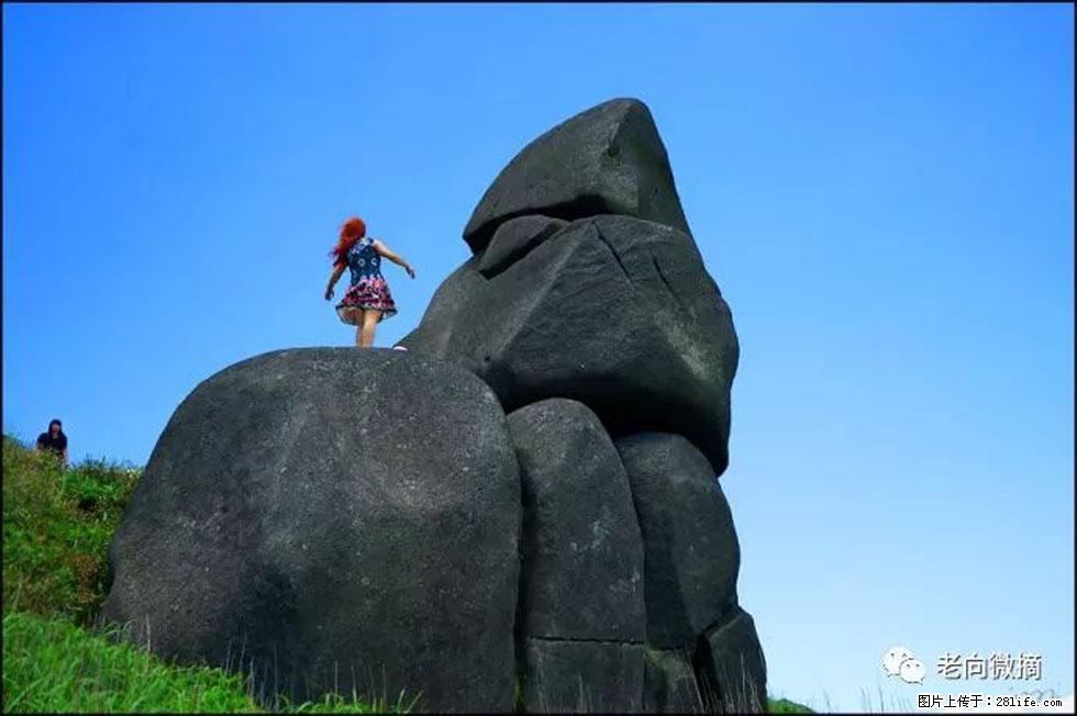 【春天，广西桂林灌阳县向您发出邀请！】宝盖山上映山红 - 游山玩水 - 武威生活社区 - 武威28生活网 wuwei.28life.com