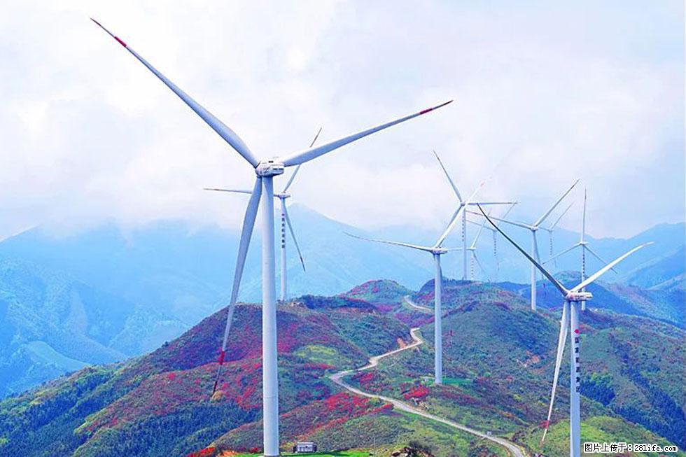 【春天，广西桂林灌阳县向您发出邀请！】春木界上映山红 - 游山玩水 - 武威生活社区 - 武威28生活网 wuwei.28life.com