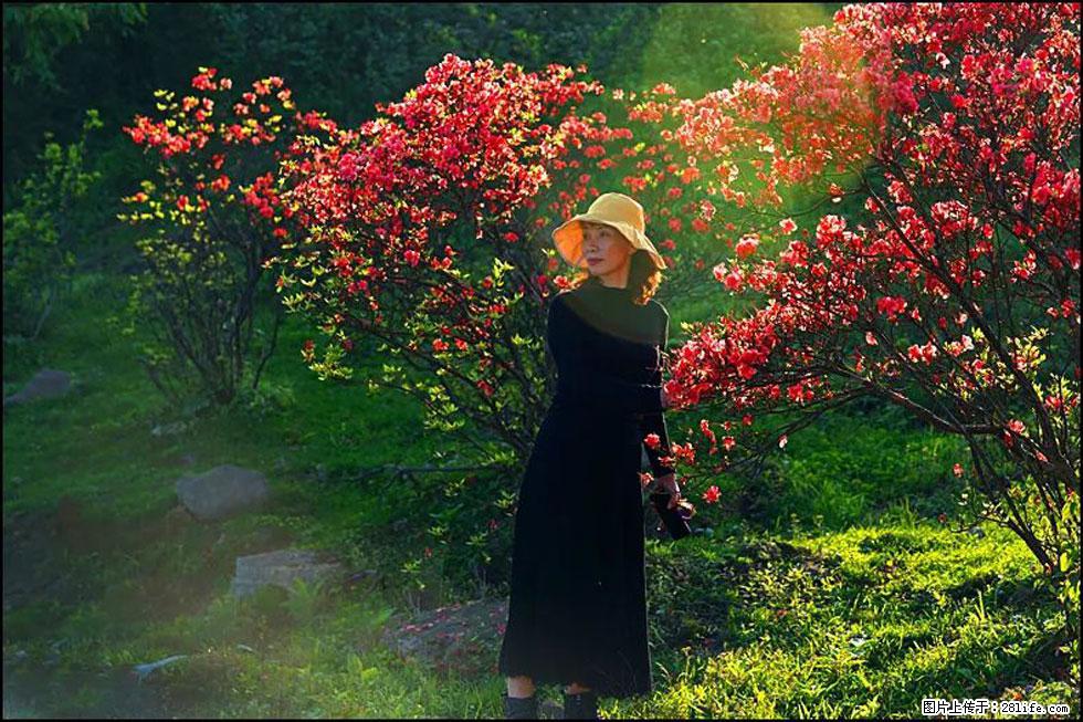 【春天，广西桂林灌阳县向您发出邀请！】春木界上映山红 - 游山玩水 - 武威生活社区 - 武威28生活网 wuwei.28life.com