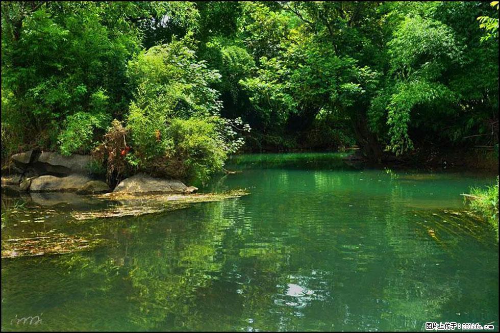 【春天,广西桂林灌阳县向您发出邀请!】如梦似幻莲溪庐 - 游山玩水 - 武威生活社区 - 武威28生活网 wuwei.28life.com