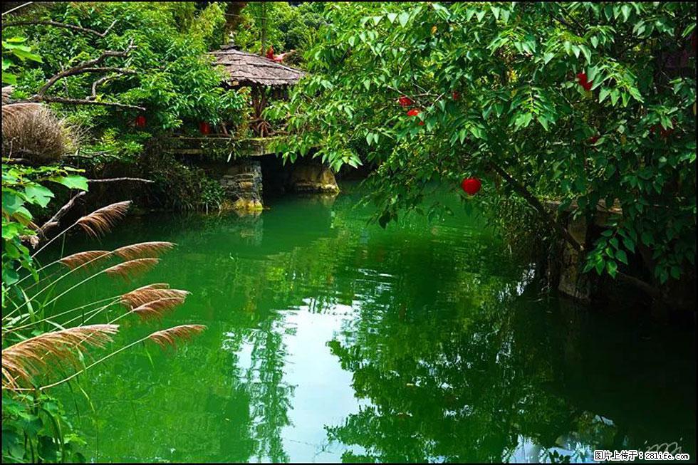 【春天,广西桂林灌阳县向您发出邀请!】如梦似幻莲溪庐 - 游山玩水 - 武威生活社区 - 武威28生活网 wuwei.28life.com