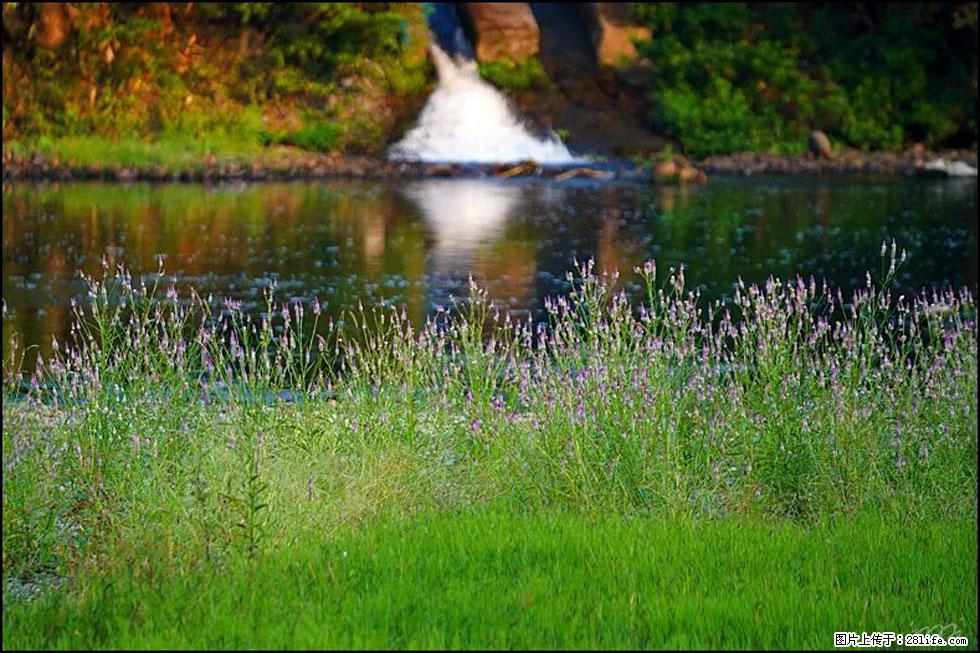 【春天，广西桂林灌阳县向您发出邀请！】熊家寨湿地公园 - 游山玩水 - 武威生活社区 - 武威28生活网 wuwei.28life.com