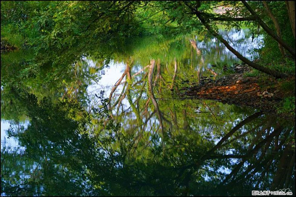 【春天，广西桂林灌阳县向您发出邀请！】熊家寨湿地公园 - 游山玩水 - 武威生活社区 - 武威28生活网 wuwei.28life.com