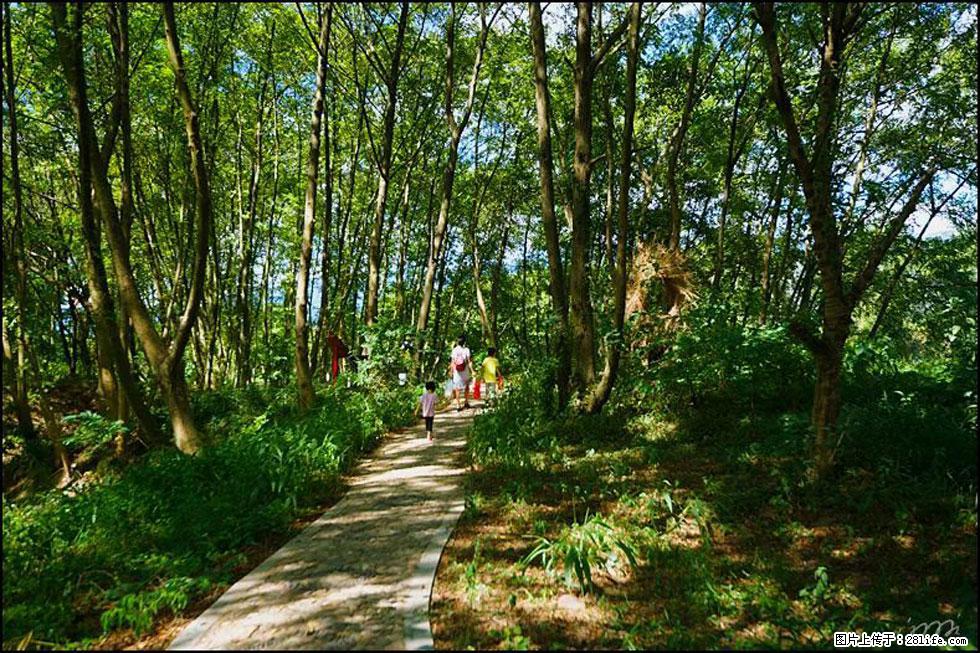 【春天，广西桂林灌阳县向您发出邀请！】熊家寨湿地公园 - 游山玩水 - 武威生活社区 - 武威28生活网 wuwei.28life.com