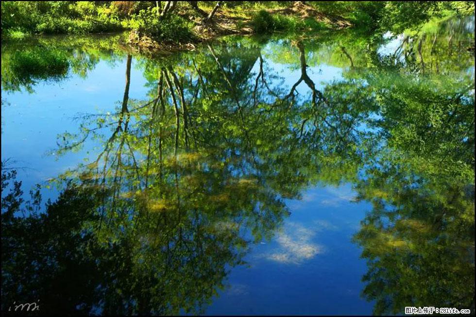 【春天，广西桂林灌阳县向您发出邀请！】熊家寨湿地公园 - 游山玩水 - 武威生活社区 - 武威28生活网 wuwei.28life.com