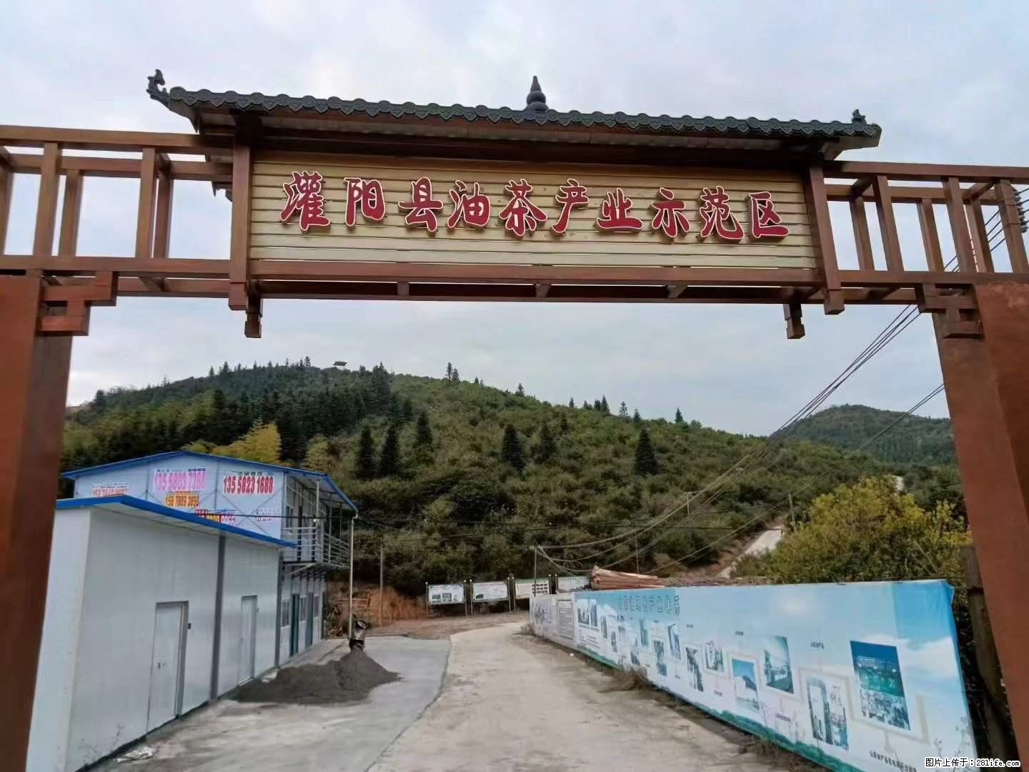 【灌阳县油茶产业示范区】一个有着充实的精神生活的人,对待身外之物自会有一种淡泊的态度 - 美食天地 - 武威生活社区 - 武威28生活网 wuwei.28life.com