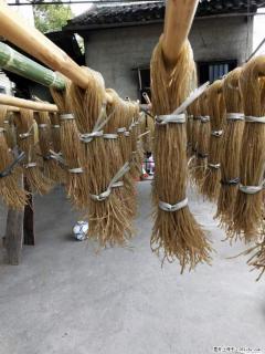 【灌阳正宗红薯粉】美女家里自己做的，干净卫生，假一赔十，价格合理，抢购电话：13737312895 - 武威28生活网 wuwei.28life.com