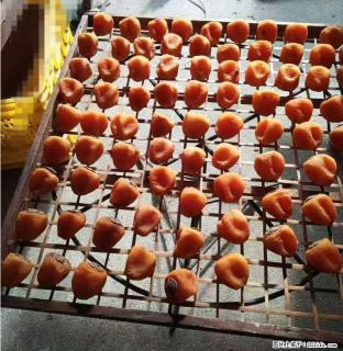 广西桂林平乐桥亭【柿饼之乡】2025年纯手工制作、无任何添加剂的第一批柿饼准备上市了，欢迎联系订购！ - 武威28生活网 wuwei.28life.com