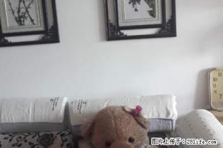 家具齐全，房子干净整洁 - 武威28生活网 wuwei.28life.com