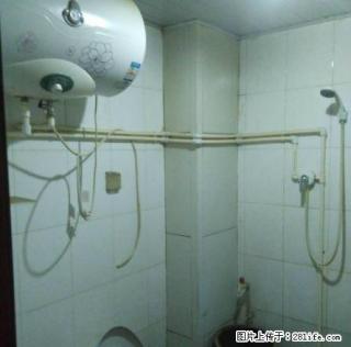 快来看，啤酒厂家属院，2室精装，业主便宜出租 - 武威28生活网 wuwei.28life.com