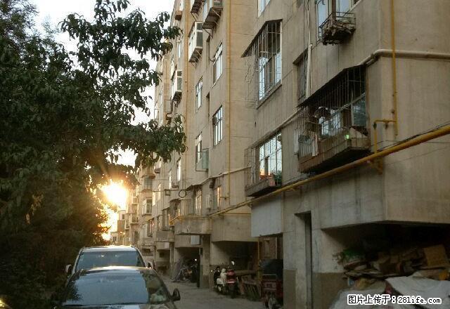 老法院家属楼 3室2厅1卫可随时看房 - 房屋出租 - 房屋租售 - 武威分类信息 - 武威28生活网 wuwei.28life.com