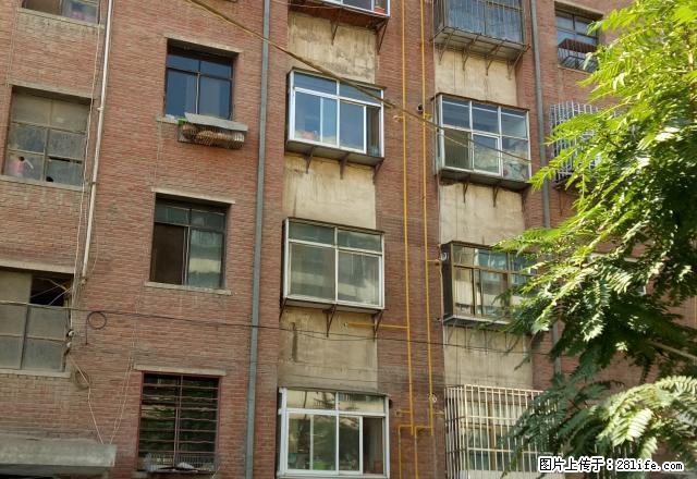 西关麻纺厂附近,可拎包入住的楼房,2居室,可随时看房 - 房屋出租 - 房屋租售 - 武威分类信息 - 武威28生活网 wuwei.28life.com