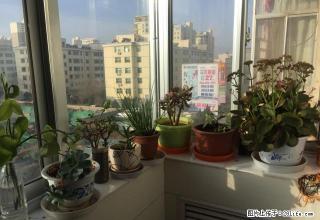 富民小区两室两厅一卫 - 武威28生活网 wuwei.28life.com