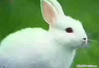 皇台二区6楼二居室南北通透空房带热水器 - 武威28生活网 wuwei.28life.com