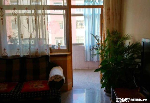 西小十字附近繁华地段,优质房源,布局合理,配套设施齐全 - 房屋出租 - 房屋租售 - 武威分类信息 - 武威28生活网 wuwei.28life.com