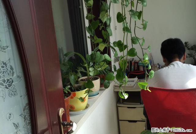 急租:盛达花园45平米22楼2居室精装修带全部家具家电拎包住 - 房屋出租 - 房屋租售 - 武威分类信息 - 武威28生活网 wuwei.28life.com