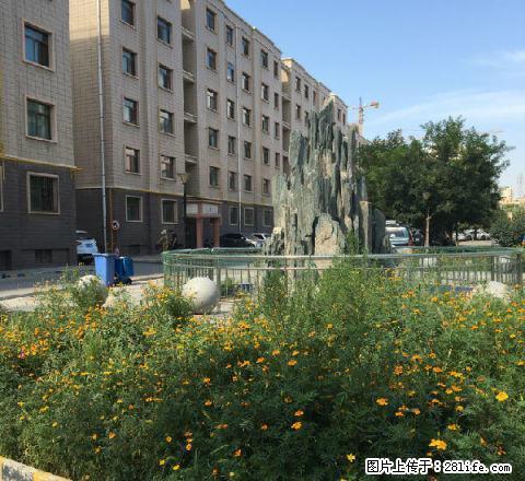 凉州182大院 2室1厅62平米 简单装修 年付 - 房屋出租 - 房屋租售 - 武威分类信息 - 武威28生活网 wuwei.28life.com