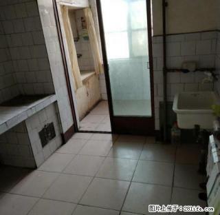 凉州区武威南关泳乐岛 - 武威28生活网 wuwei.28life.com