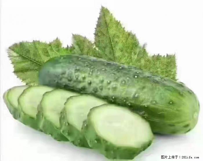 【生活小常识】吃黄瓜的好处 - 生活百科 - 武威生活社区 - 武威28生活网 wuwei.28life.com