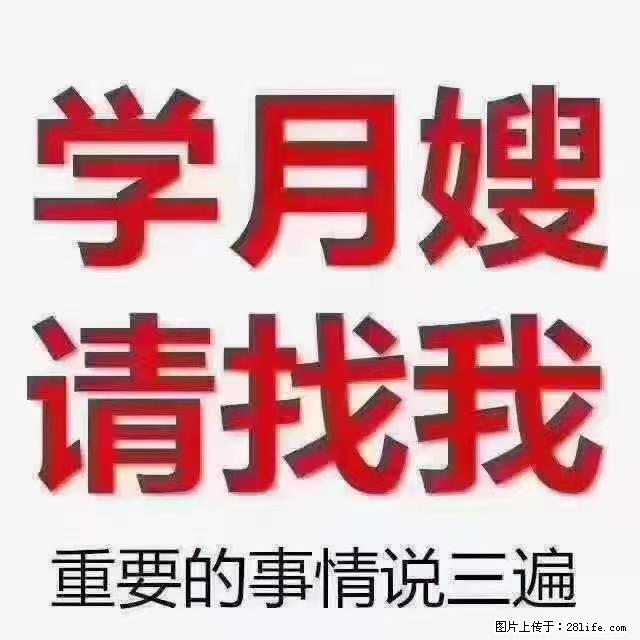 【招聘】月嫂,上海徐汇区 - 职场交流 - 武威生活社区 - 武威28生活网 wuwei.28life.com