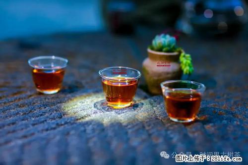 时间果百年古树2025年春红茶 - 购物交流 - 武威生活社区 - 武威28生活网 wuwei.28life.com