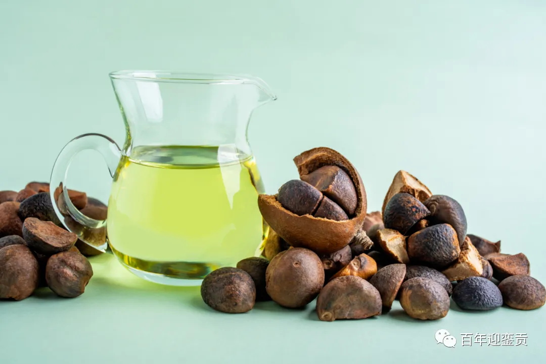 世界没有真相，只有认知，最好的食用油是中国的山茶油！ - 武威生活资讯 - 武威28生活网 wuwei.28life.com