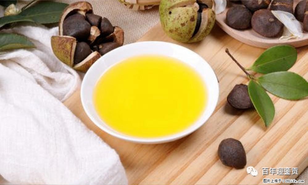 世界没有真相，只有认知，最好的食用油是中国的山茶油！ - 武威生活资讯 - 武威28生活网 wuwei.28life.com