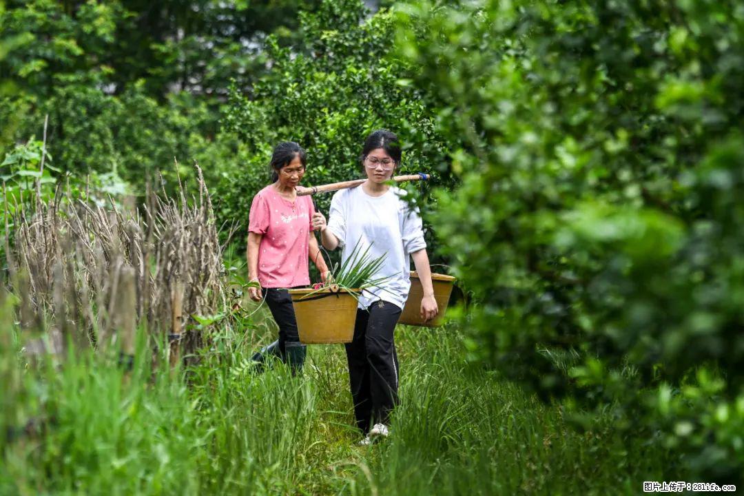 全网追的“扁担女孩”,找了一份暑假工,时薪12元 - 武威生活资讯 - 武威28生活网 wuwei.28life.com