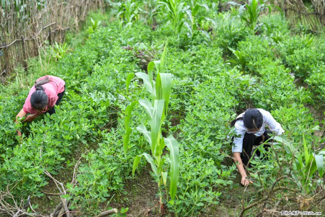 全网追的“扁担女孩”,找了一份暑假工,时薪12元 - 武威生活资讯 - 武威28生活网 wuwei.28life.com