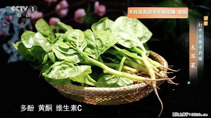 比牛奶补钙还厉害！凉血解毒、稳血糖...这菜冬天必吃，很多人却当草 - 武威生活资讯 - 武威28生活网 wuwei.28life.com