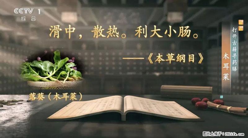比牛奶补钙还厉害！凉血解毒、稳血糖...这菜冬天必吃，很多人却当草 - 武威生活资讯 - 武威28生活网 wuwei.28life.com