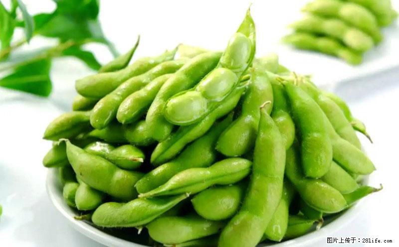 这些蔬菜是“天然钙片”，这6种被医生重点推荐 - 武威生活资讯 - 武威28生活网 wuwei.28life.com
