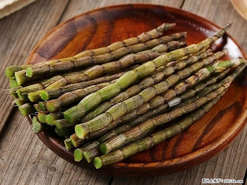 铁皮石斛的作用与功能主治 - 武威生活资讯 - 武威28生活网 wuwei.28life.com