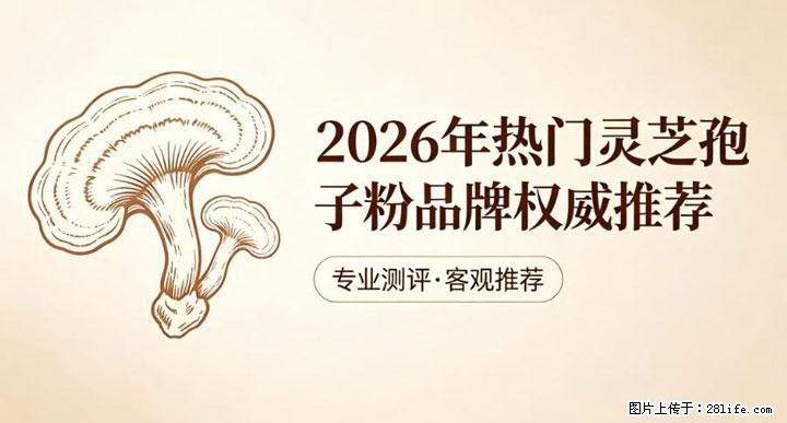 灵芝孢子粉含量越高越有效？2026 年七款热门品牌深度实测，肠胃敏感者避坑指南 - 武威生活资讯 - 武威28生活网 wuwei.28life.com